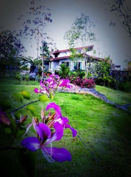 Wangnamkeaw In Love Wang Nam Khiao Luaran gambar